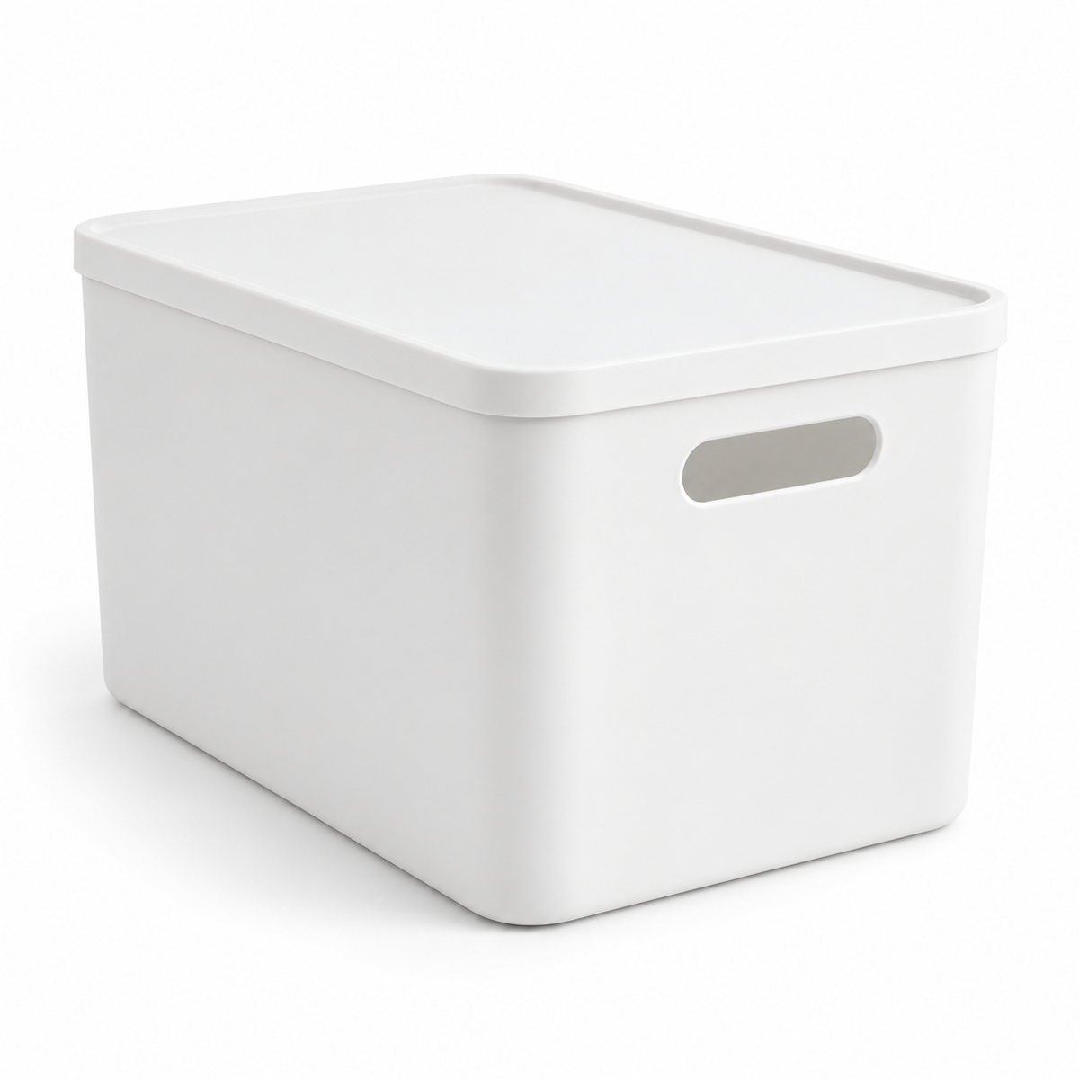 Lidded Plastic Storage Box for Home Organization